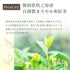 洋甘菊 x 日本紅茶茶包 2.5g x 35p